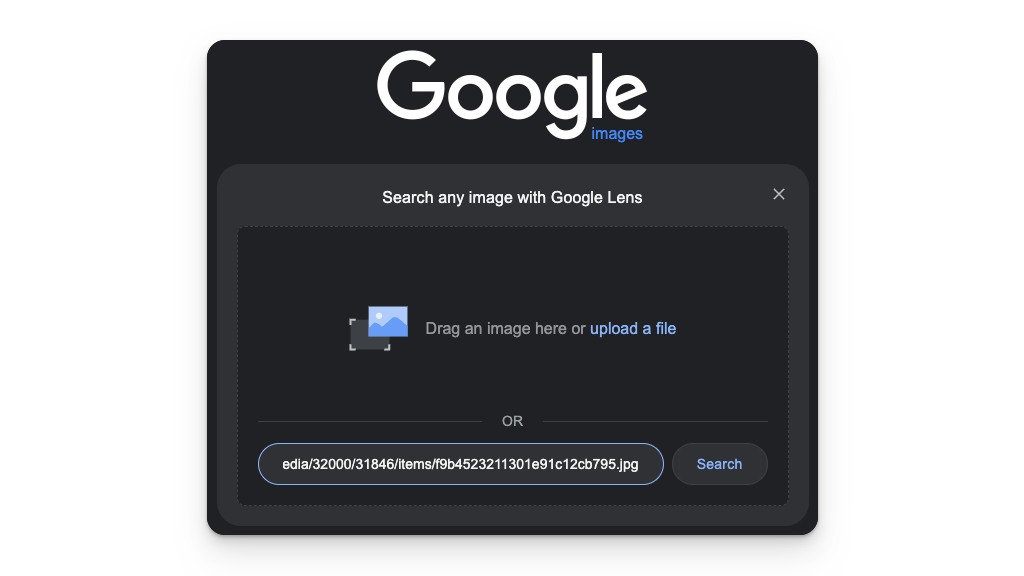 Reverse Image Search